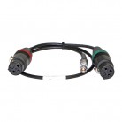Ambient Audio Input Adapter Y Cable, 6-Pin LEMO to (2) 3-Pin XLR Female