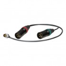 Ambient Audio Input Adapter Y Cable, 6-Pin LEMO to (2) 3-Pin XLR Female