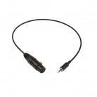 Remote Audio CATCiPXLRF 24 Inch Time Code Input Cable for iDevices - 3-Pin Female XLR to 1/8 Inch TRRS