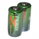 Evergreen CR123A Lithium Batteries - 2/Pack