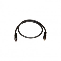 Cable Techniques RX-TRSBL 18 Inch Locking 3.5mm Male to TA3F Receiver Cable - Balanced